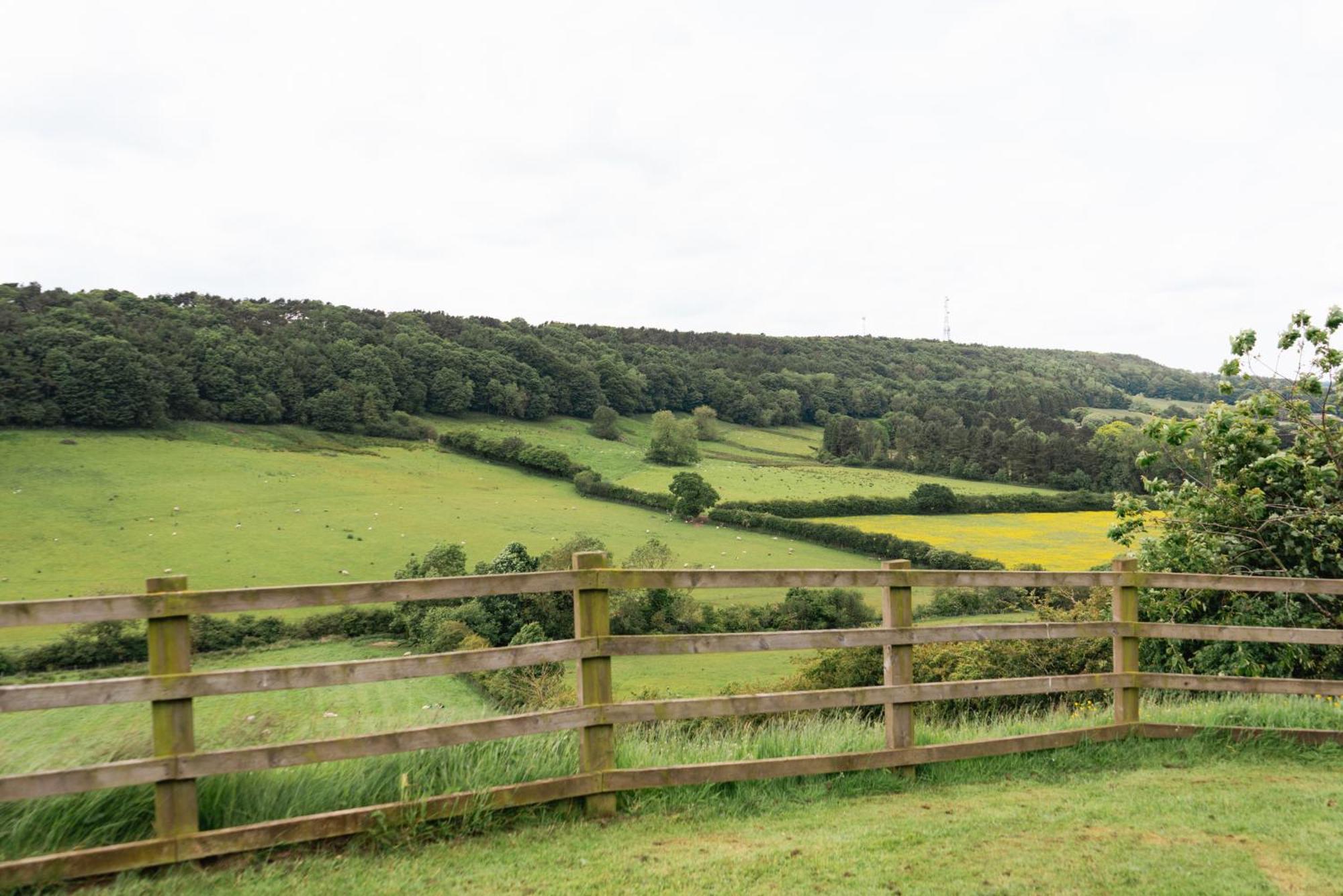 The Spinney Scarborough Exteriör bild